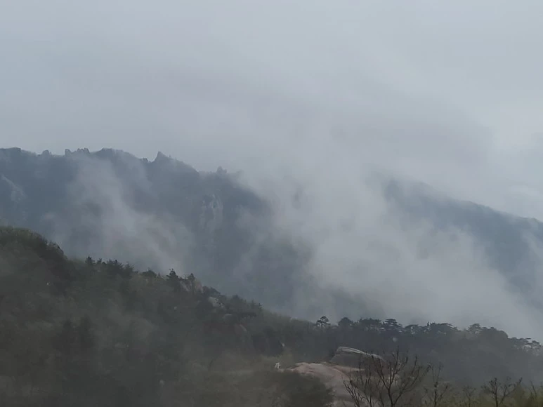 20210501_150649.jpg?type=w773