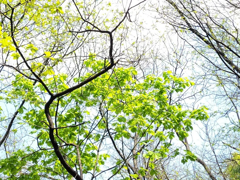 20210418_130735.jpg?type=w773