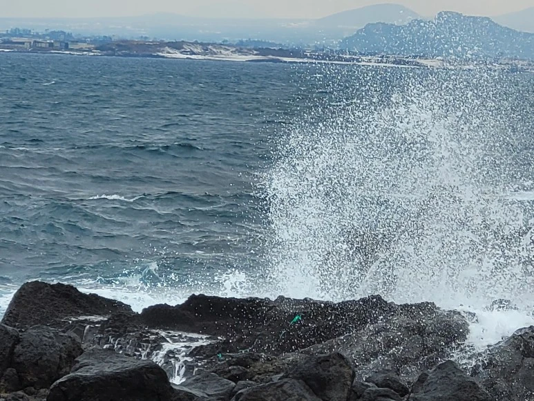 20210111_113626.jpg?type=w773