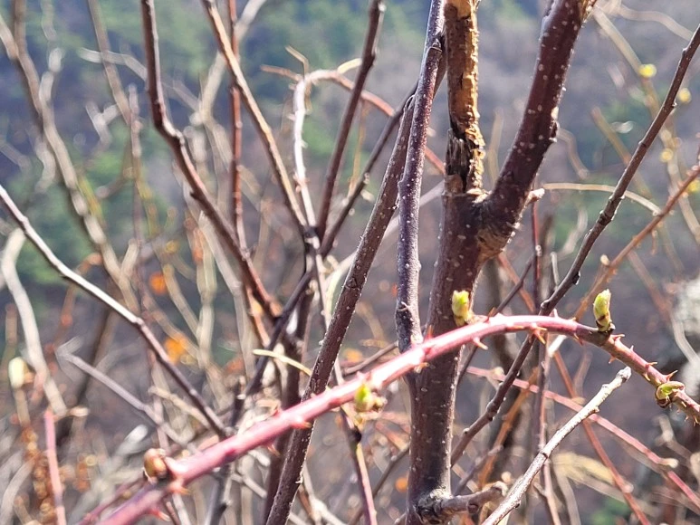 20210313_114152.jpg?type=w773