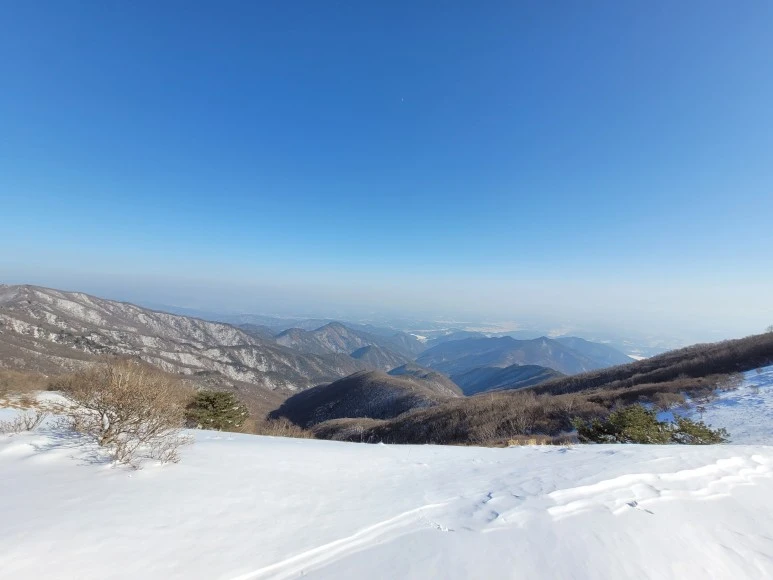 20210120_143125.jpg?type=w773