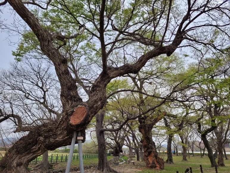 20210403_121138.jpg?type=w773