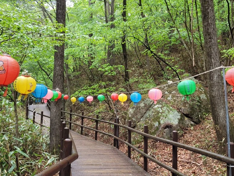 20210501_114721.jpg?type=w773