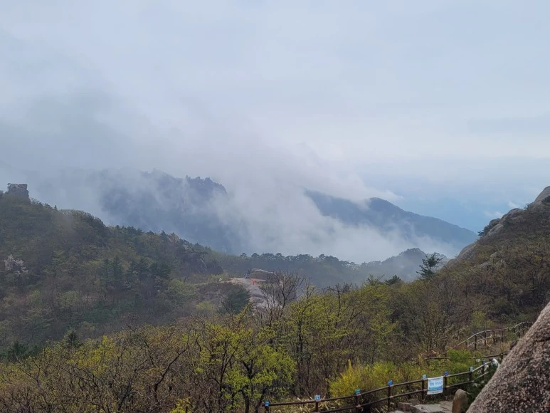 20210501_150839.jpg?type=w773