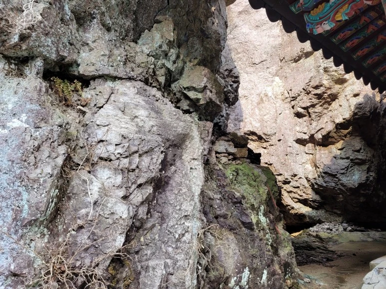 20210313_150559.jpg?type=w773