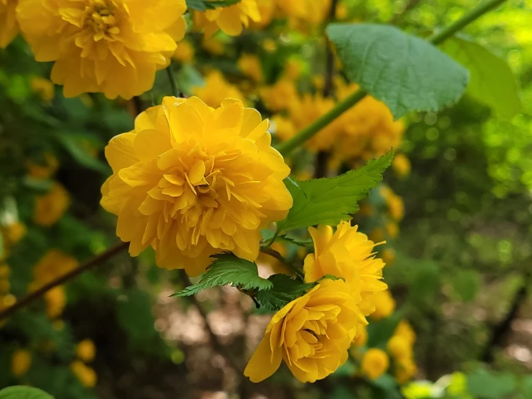 20210418_135210.jpg?type=w773