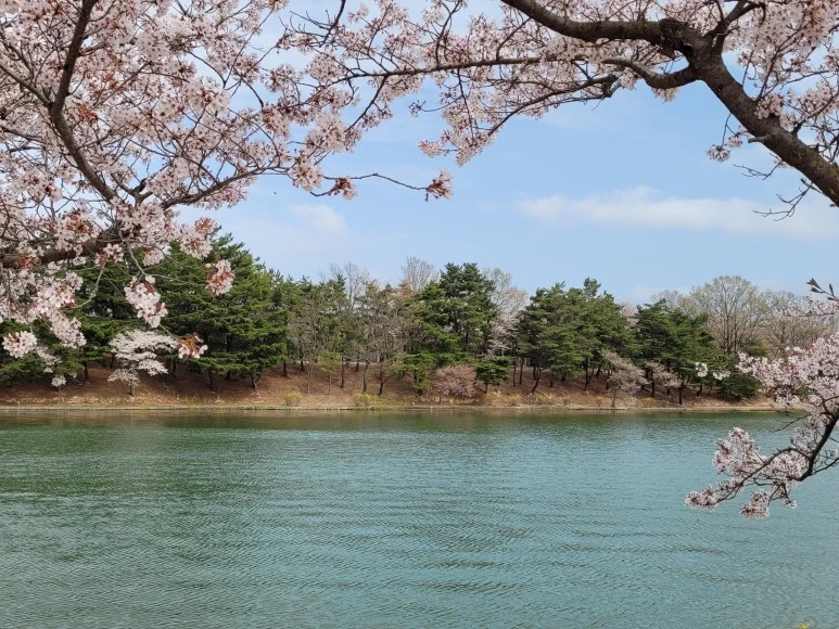 20210402_144422.jpg?type=w773