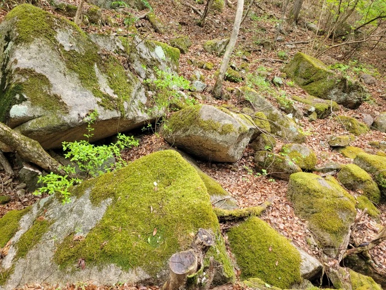 20210501_114908.jpg?type=w773