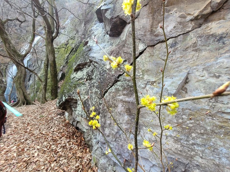 20210313_120103.jpg?type=w773