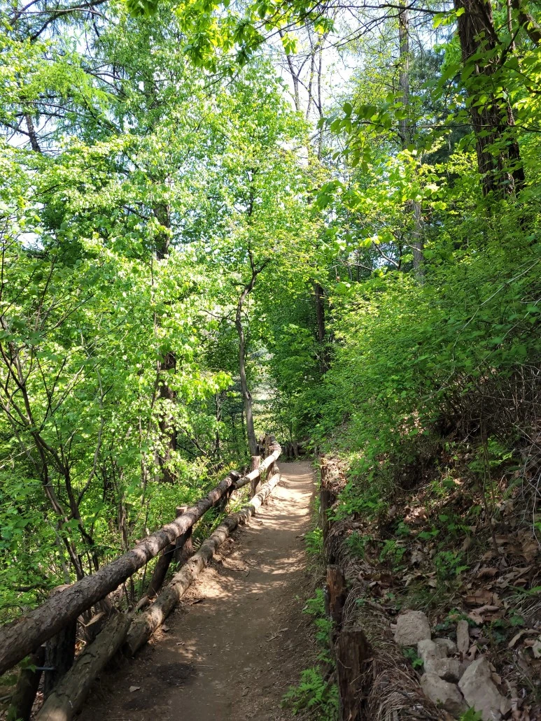 20210418_131030.jpg?type=w773