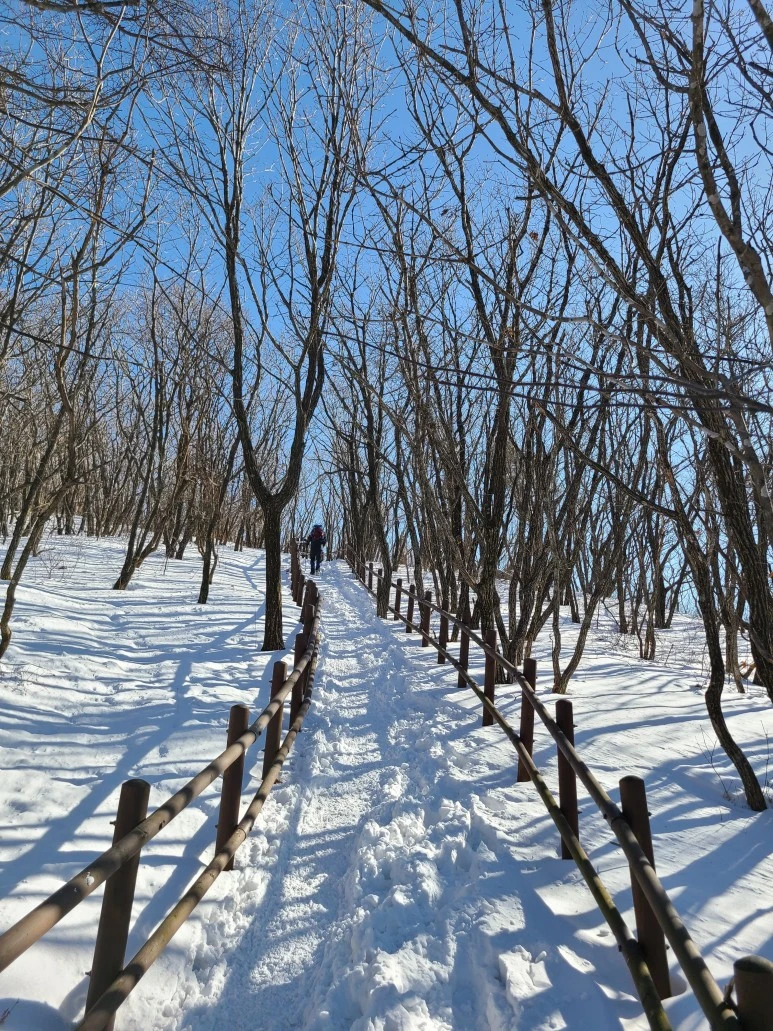 1611194633402.jpg?type=w773