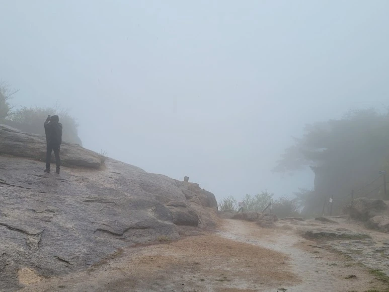 20210501_144717.jpg?type=w773