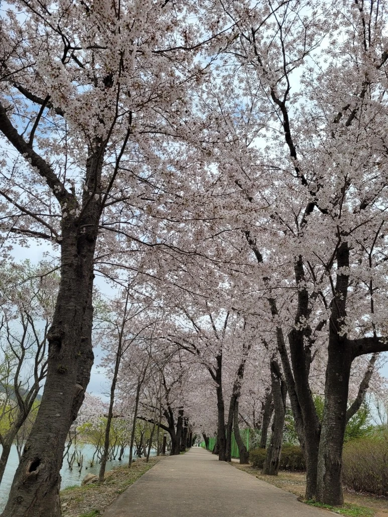 20210402_132503.jpg?type=w773