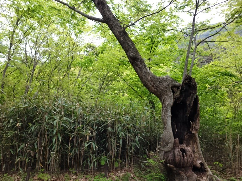 20210501_110436.jpg?type=w773