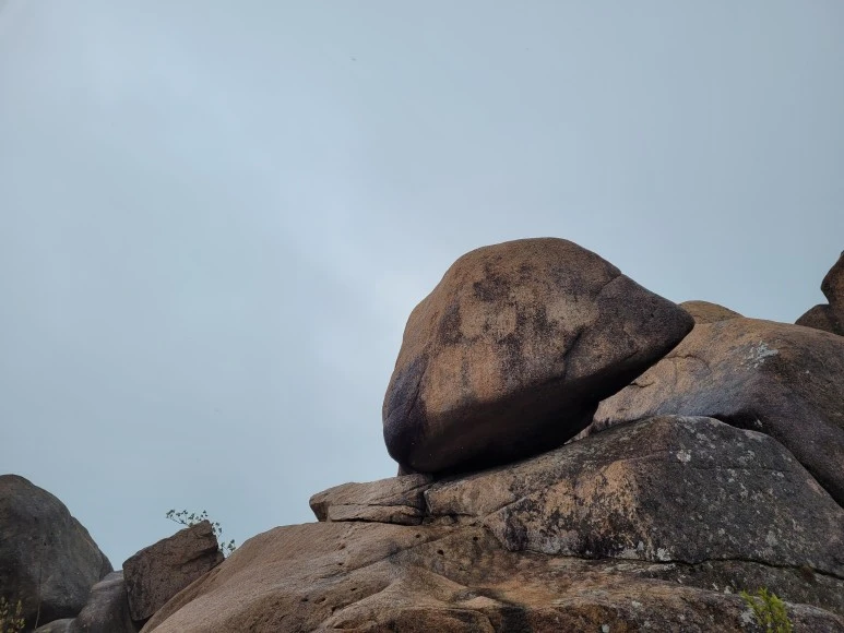 20210501_145646.jpg?type=w773