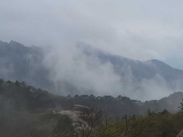 20210501_150655.jpg?type=w773