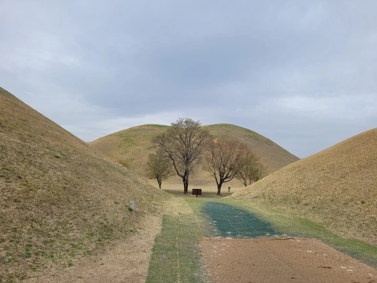 20210403_105703.jpg?type=w773