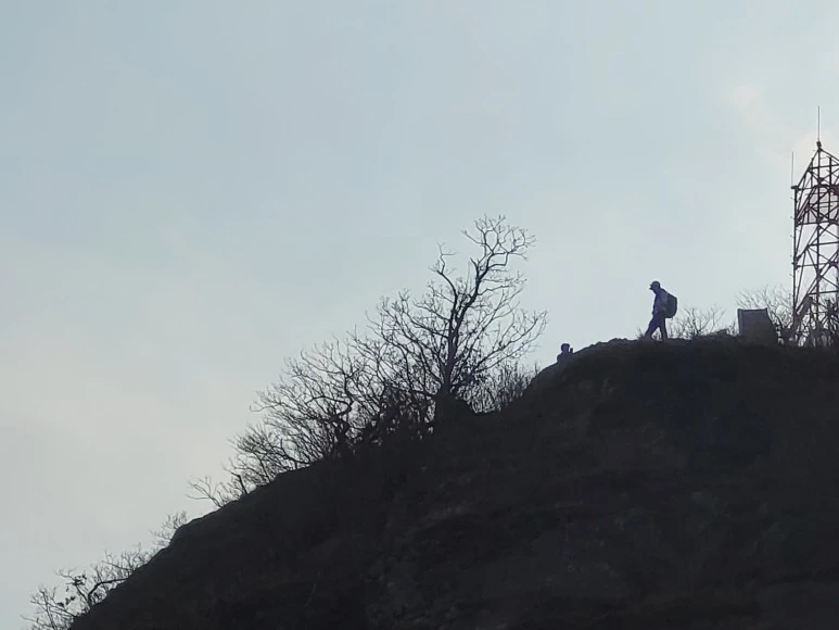 20210313_152854.jpg?type=w773