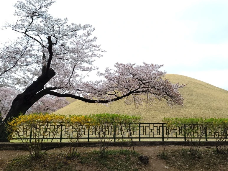 20210403_110603.jpg?type=w773