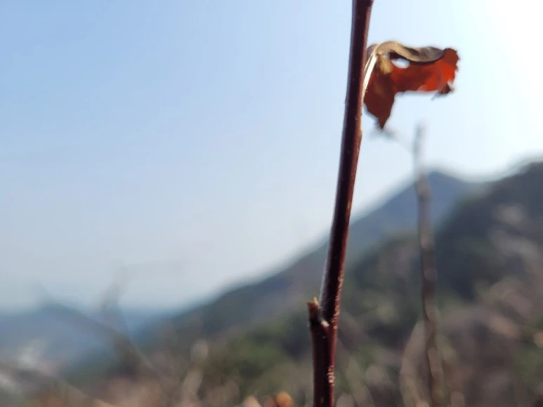 20210313_114104.jpg?type=w773