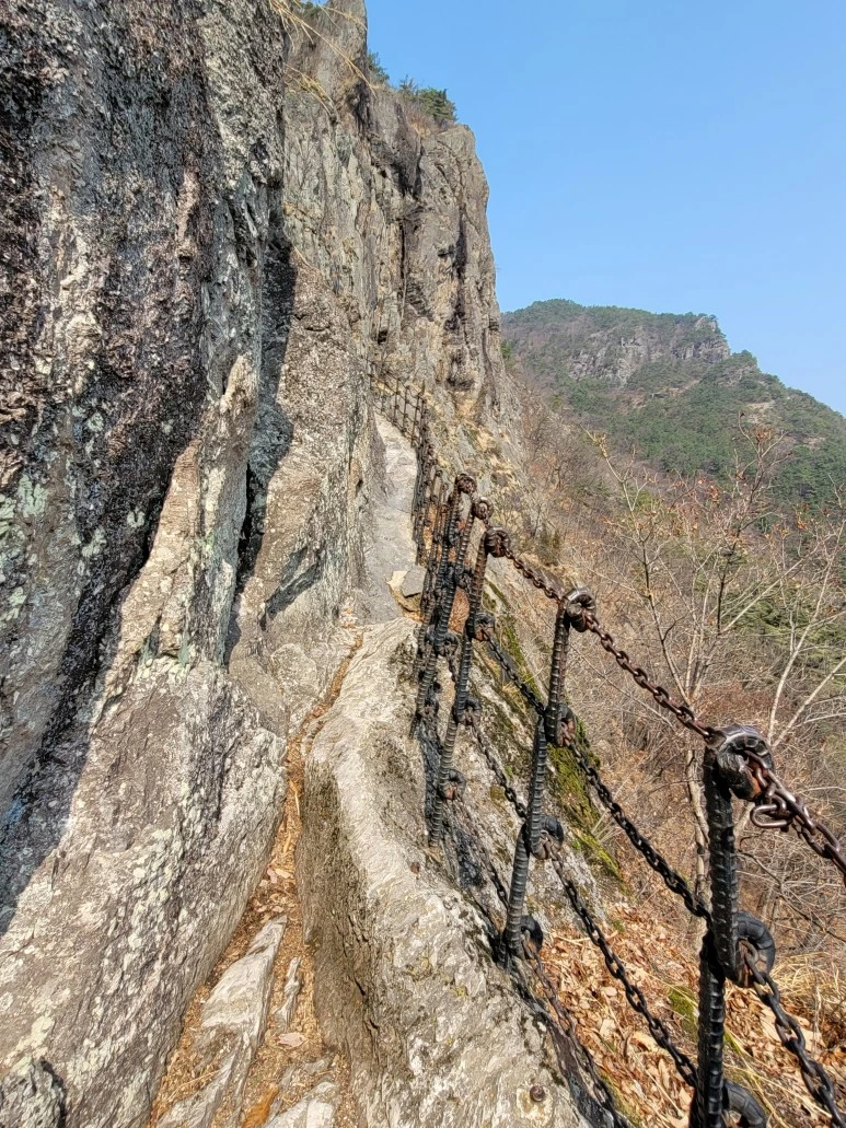 20210313_114015.jpg?type=w773