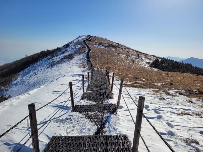 20210120_143108.jpg?type=w773