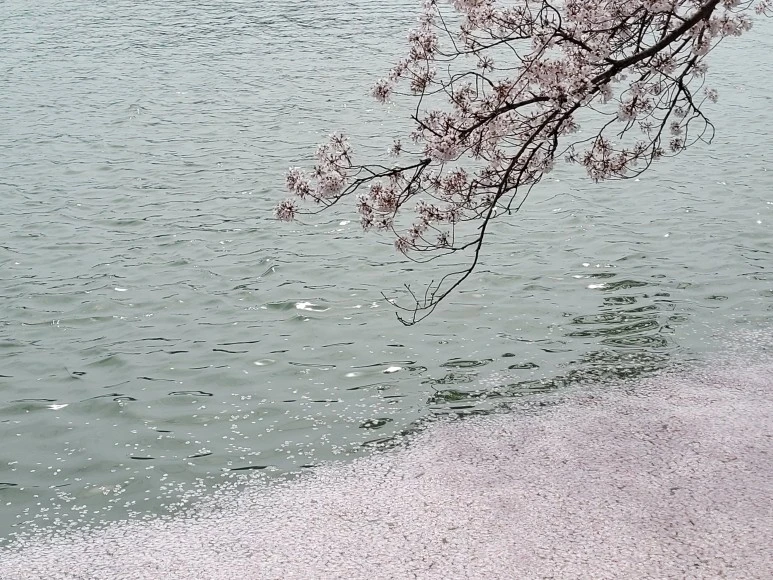 20210402_142126.jpg?type=w773