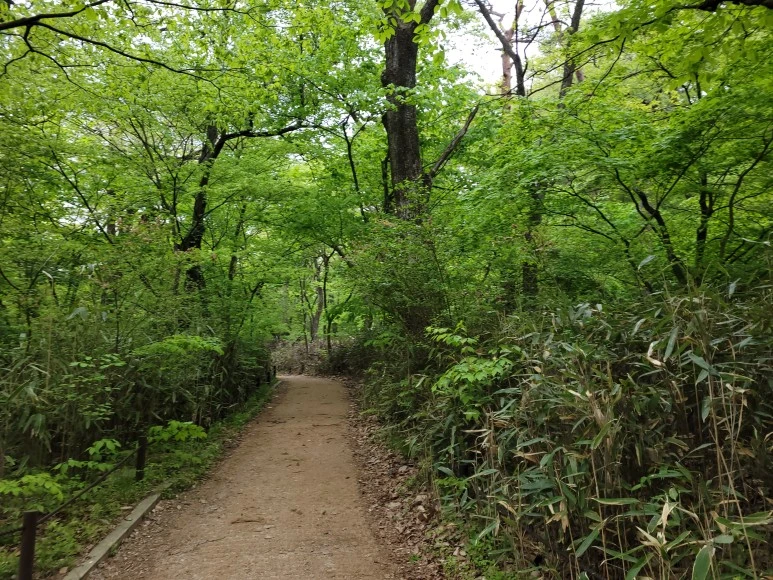 20210501_110424.jpg?type=w773