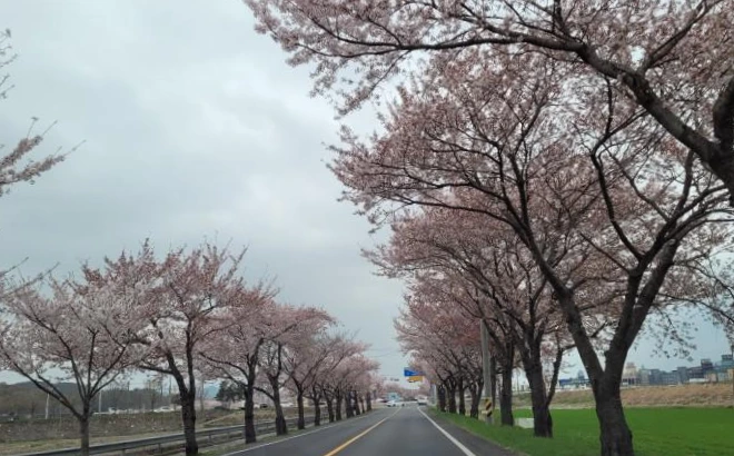 20210402_103226.jpg?type=w773