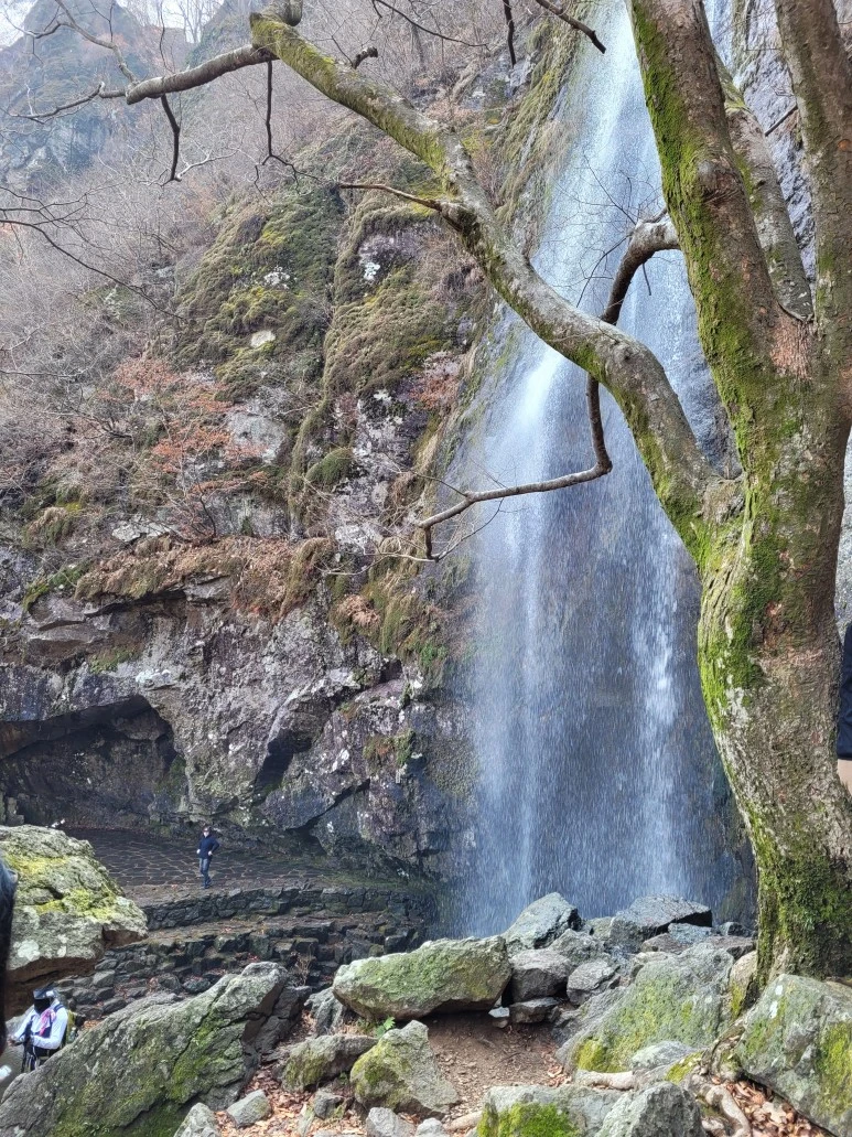 20210313_120600.jpg?type=w773