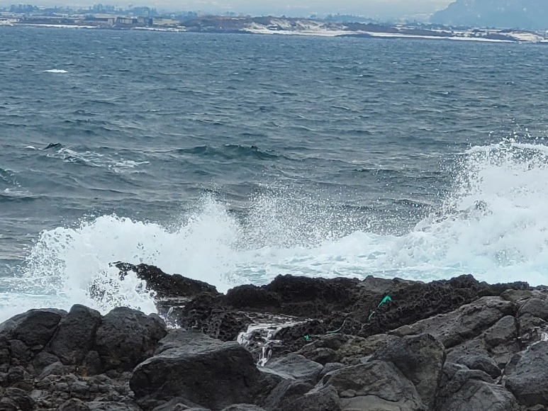 20210111_113624.jpg?type=w773