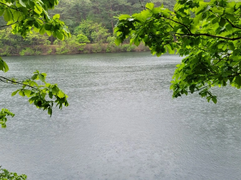 20210501_112805.jpg?type=w773