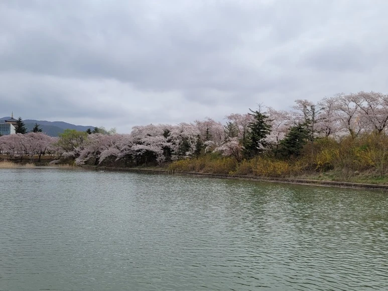 20210402_133626.jpg?type=w773