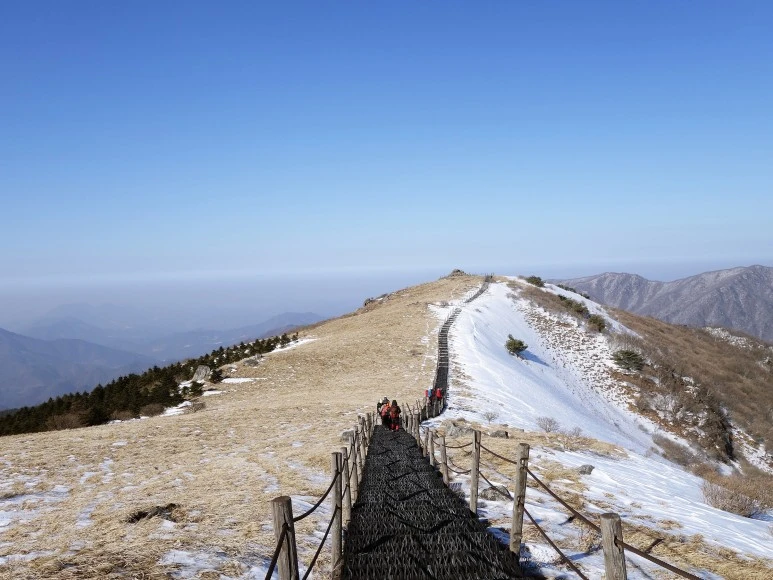 1611190673538.jpg?type=w773