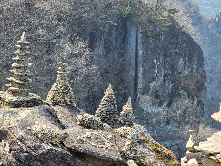 20210313_141500.jpg?type=w773