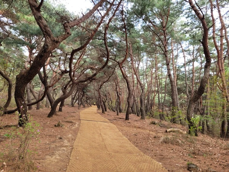 20210402_161429.jpg?type=w773