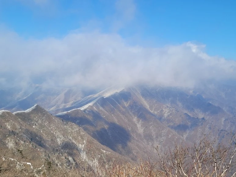 KakaoTalk_20210116_183200360_07.jpg?type=w773