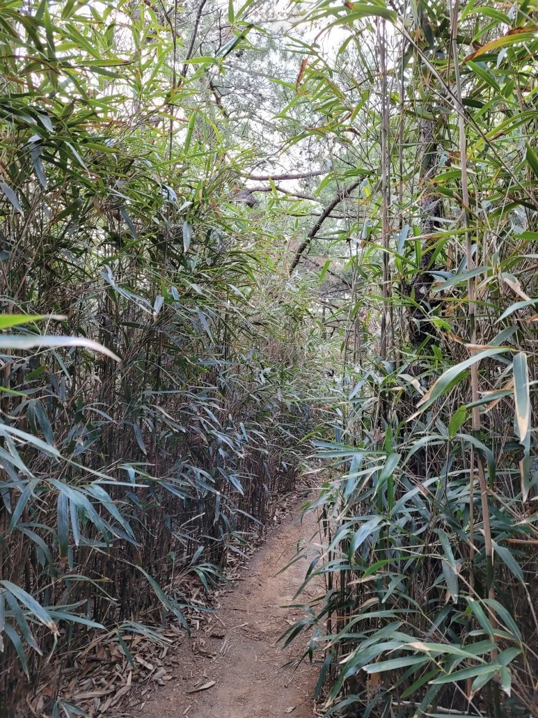 20210402_181903.jpg?type=w773