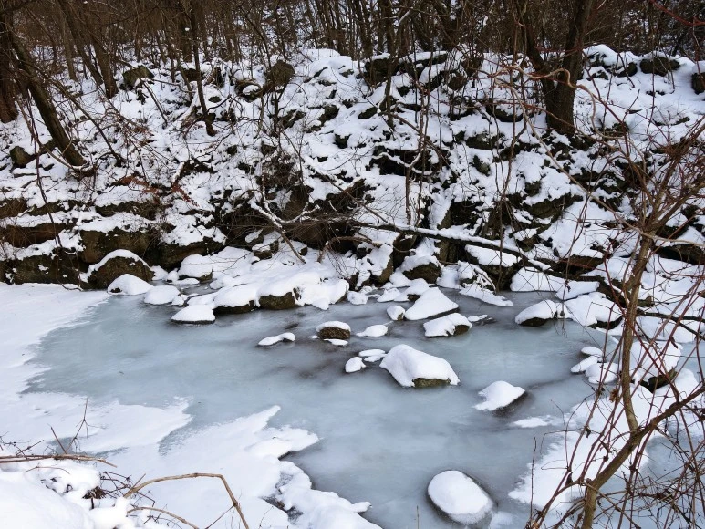 1611190511988.jpg?type=w773