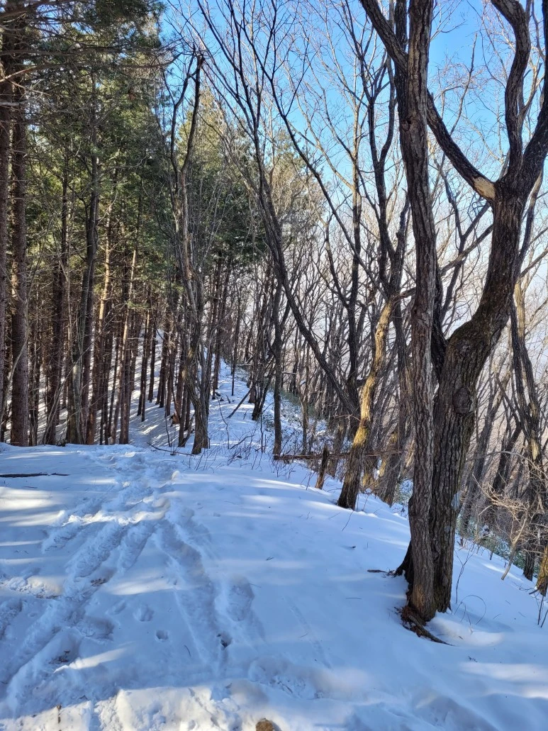 20210120_132514.jpg?type=w773