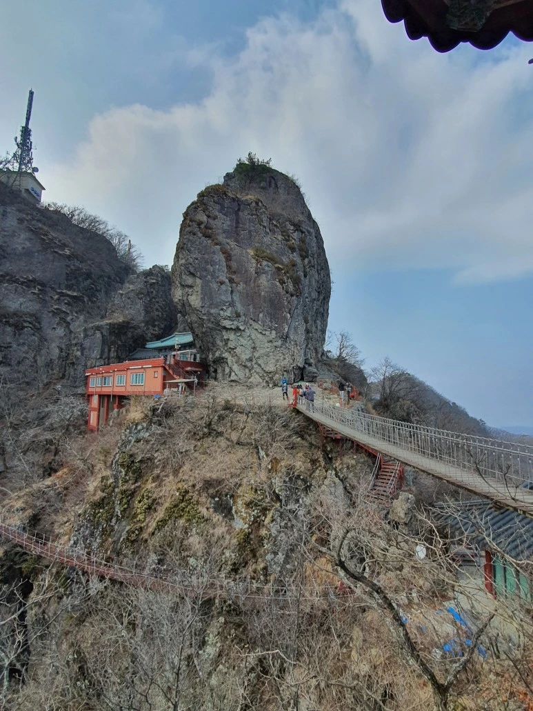 1615675842125.jpg?type=w773