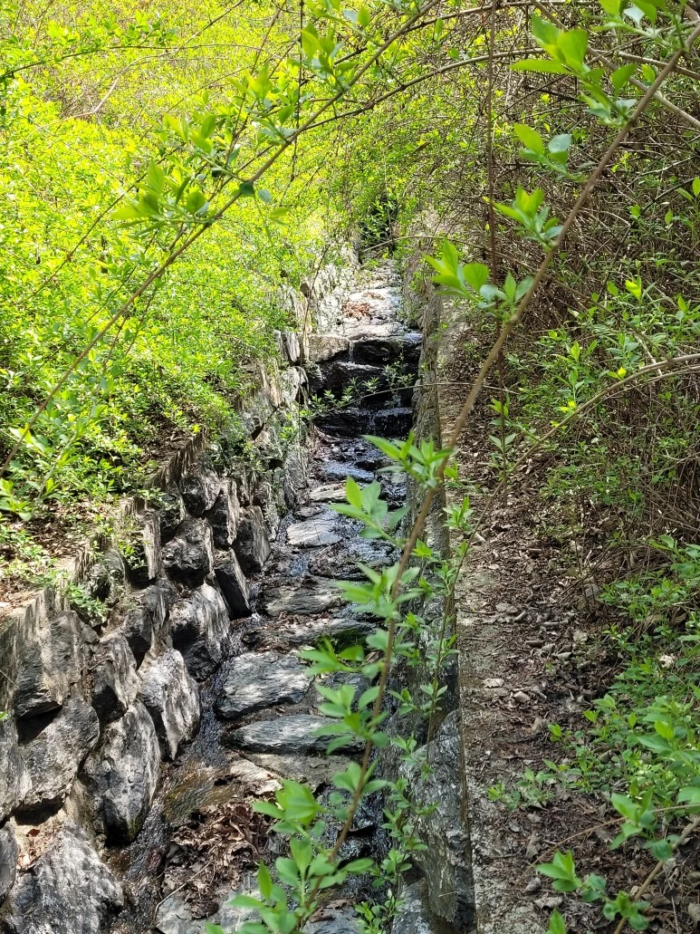 20210418_135813.jpg?type=w773