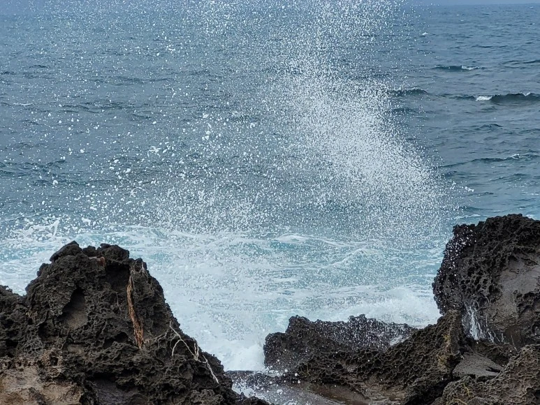 20210111_113349.jpg?type=w773