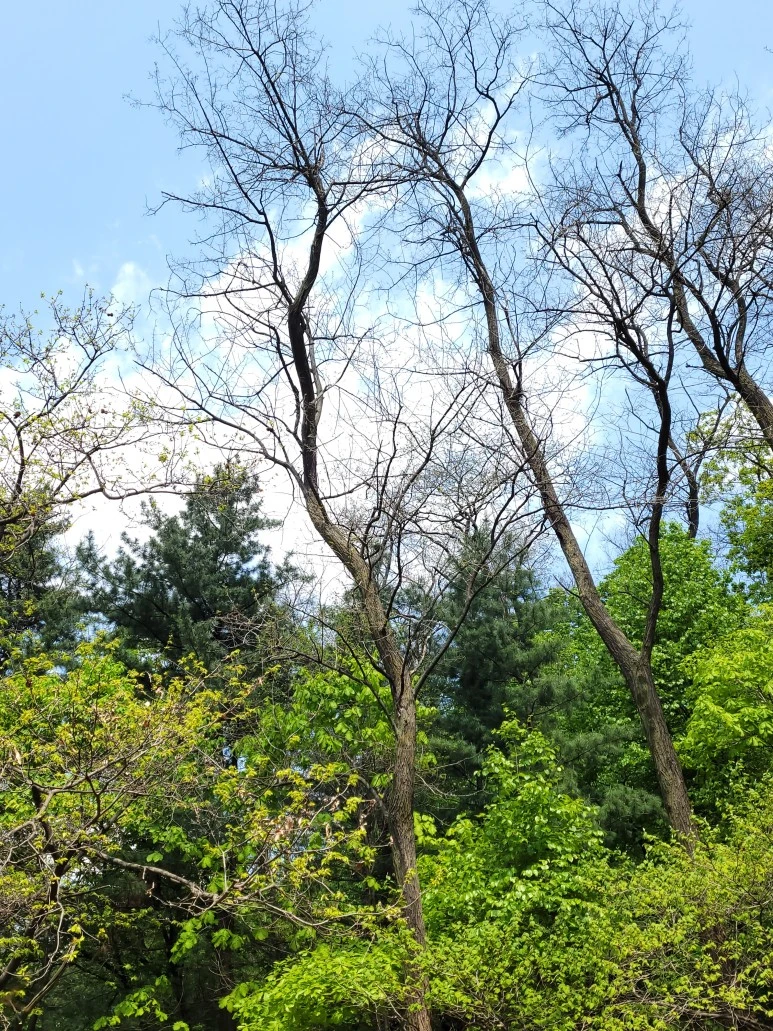 20210418_135936.jpg?type=w773