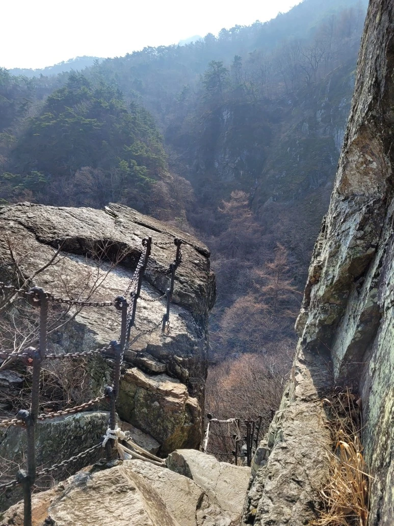 20210313_113825.jpg?type=w773