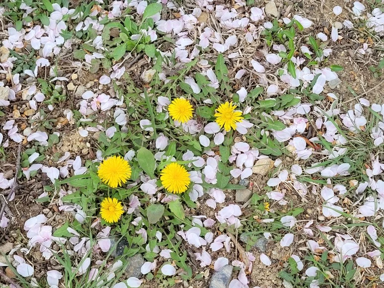 20210402_131208.jpg?type=w773