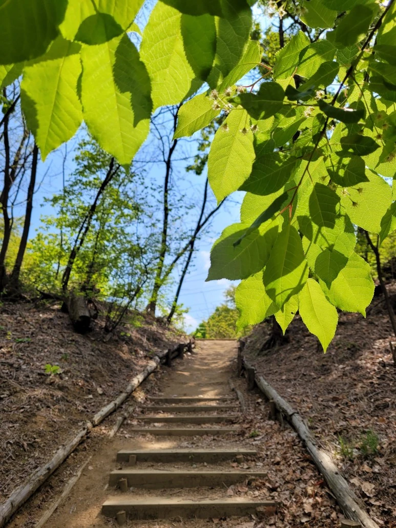 20210418_141620.jpg?type=w773