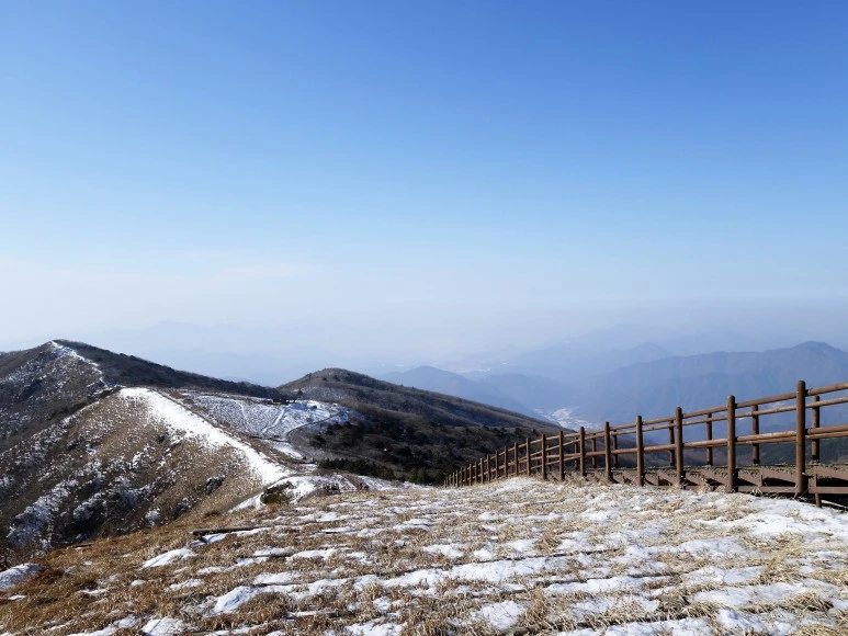 1611190688876.jpg?type=w773