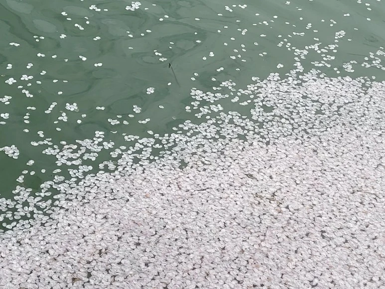 20210402_141929.jpg?type=w773