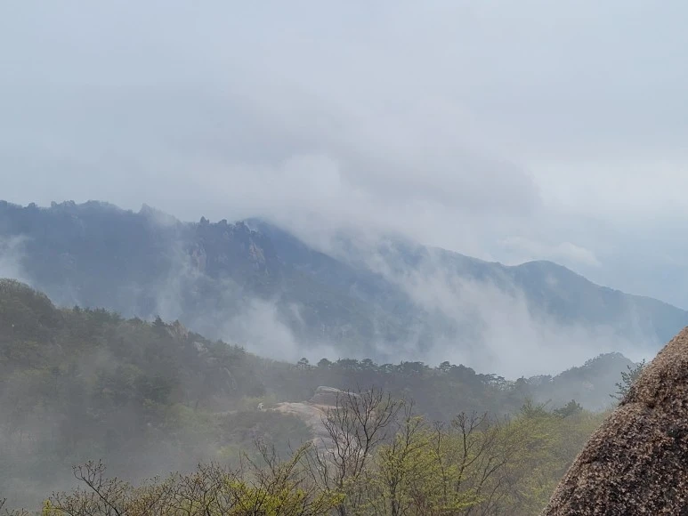 20210501_150624.jpg?type=w773